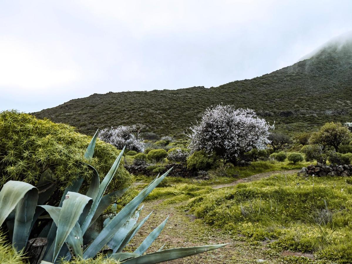 Luxury Villa In Nature With Swimming Pool Tenerife, Santiago Del Teide, With Sea And Mountain Views El Retamar Екстер'єр фото